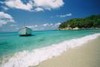 Picture for song 'Live in Paradise' by artist 'Aka 47'