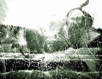 Picture for song 'ManDown' by artist 'akalestos'