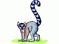 Picture for song 'Hawaiian Sunrise' by artist 'Akira Gonzales'