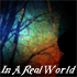 Picture for song 'In A Real World' by artist 'Alan Tuck'