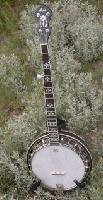 Picture for song 'Banjo 1' by artist 'AlbertaPicker'