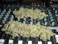 Picture for song 'WHY U WANT 2 HATE 4' by artist 'A-L-C'