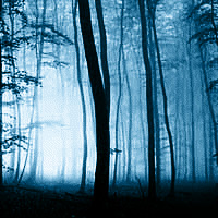 Picture for song 'everyday is fall (live)' by artist 'Alcian Blue'