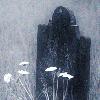 Picture for song 'fall behind Live' by artist 'Alcian Blue'
