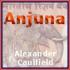 Picture for song 'Anjuna' by artist 'Alexander Caulfield'