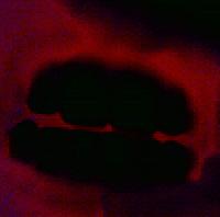 Picture for song 'Cridget' by artist 'Alex Davis'