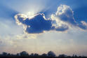 Picture for song 'Natures Dream' by artist 'Alex Tsiporenko Productions'