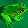 Picture for song 'Ballet of the frogs' by artist 'Alex Williamson'