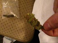 Picture for song 'drugs' by artist 'alien'