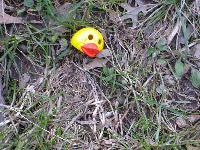 Picture for song 'the payment plan(dan messina dis)' by artist 'alien'