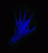 Picture for song 'Can,t get through.' by artist 'Alien Hand syndrome'