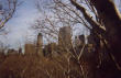 Picture for song 'Buddha Complex - A Walk in the Park' by artist 'Alien Prhyme Family'