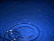 Picture for song 'Moody Blue' by artist 'Uncle Ace Ha'
