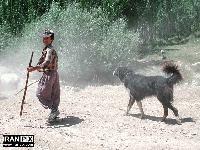 Picture for song 'Cold Nation' by artist 'Ali Sufi'