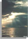 Picture for song 'Higher State' by artist 'Alliance Records Inc'