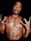 Picture for song 'WESTCOAST BANGA' by artist 'Alliance Records Inc'
