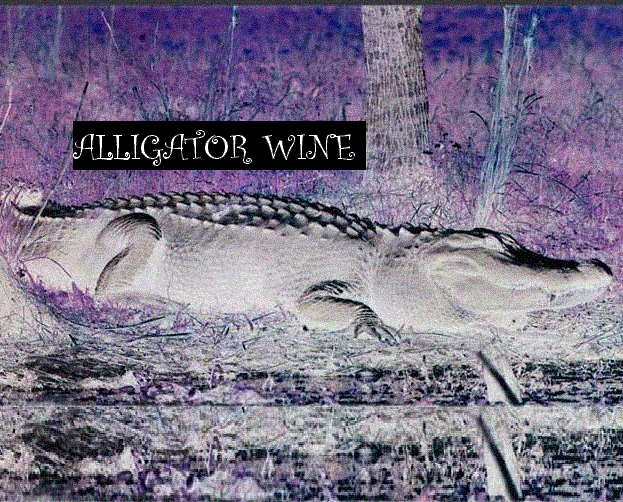 Picture for song 'Timekeeper' by artist 'Alligator Wine'