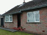 Picture for song 'The Homeless' by artist 'Ally Valentine'