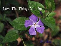 Picture for song 'Love The Things You Do' by artist 'AL MAC'