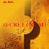 Picture for song '"Secret Crush" feat. Jypsy fom the I.E.' by artist 'AL MAC'
