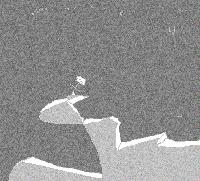 Picture for song '2423523' by artist 'A Lonee'