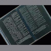 Picture for song 'Exodo' by artist 'Alpha Alpha'