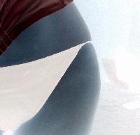 Picture for song 'Female' by artist 'Alpha Alpha'