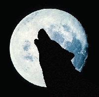 Picture for song 'Mistico' by artist 'Alpha Alpha'