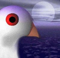 Picture for song 'Peace' by artist 'Alpha Alpha'