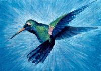 Picture for song 'The Flamming Hummingbird' by artist 'Alpo'