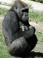 Picture for song 'Giligians Island' by artist 'Altered Personas'