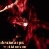 Picture for song 'The Path That Leads To Home (demo rough draft)' by artist 'Alternative Cow Punk'