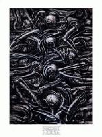 Picture for song 'Go K K' by artist 'Amboy'