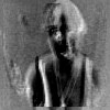 Picture for song 'free' by artist 'AMFTC'