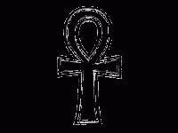 Picture for song 'Edible Beauty' by artist 'Amnion'