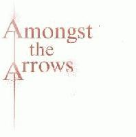 Picture for song 'Running Out Of Canvas' by artist 'Amongst Arrows'