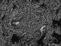 Picture for song 'Sludge Cathedral with Extended Flak' by artist 'Amphibifudd'