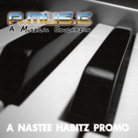 Picture for song 'Your Girls a Ho (She Ain't Right)' by artist 'Amuse'