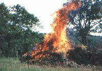 Picture for song 'Flickering Scriptures' by artist 'Anarchy On Mars'