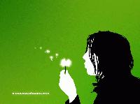 Picture for song 'Not Again' by artist 'Anat Damon'