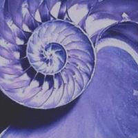 Picture for song 'blue breath' by artist 'andre g'