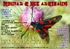 Song picture