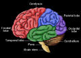 Picture for song 'New Thoughts' by artist 'ANDYB'