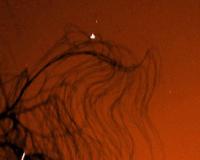 Picture for song 'Rapture and Rain (2006 remix)' by artist 'Andy Jones'