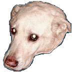 Picture for song 'Bust It' by artist 'Andy Mac1'