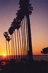 Picture for song 'La Jolla Shores' by artist 'Andy Milestone'