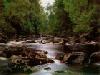Picture for song 'River' by artist 'Andy Milestone'
