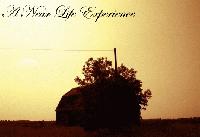 Picture for song 'Never know' by artist 'A Near life experience'