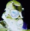 Picture for song 'Untitled Tek - 01' by artist 'Anfo'