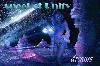 Picture for song 'dreams (chor radio edit)' by artist 'Angel of Unity'